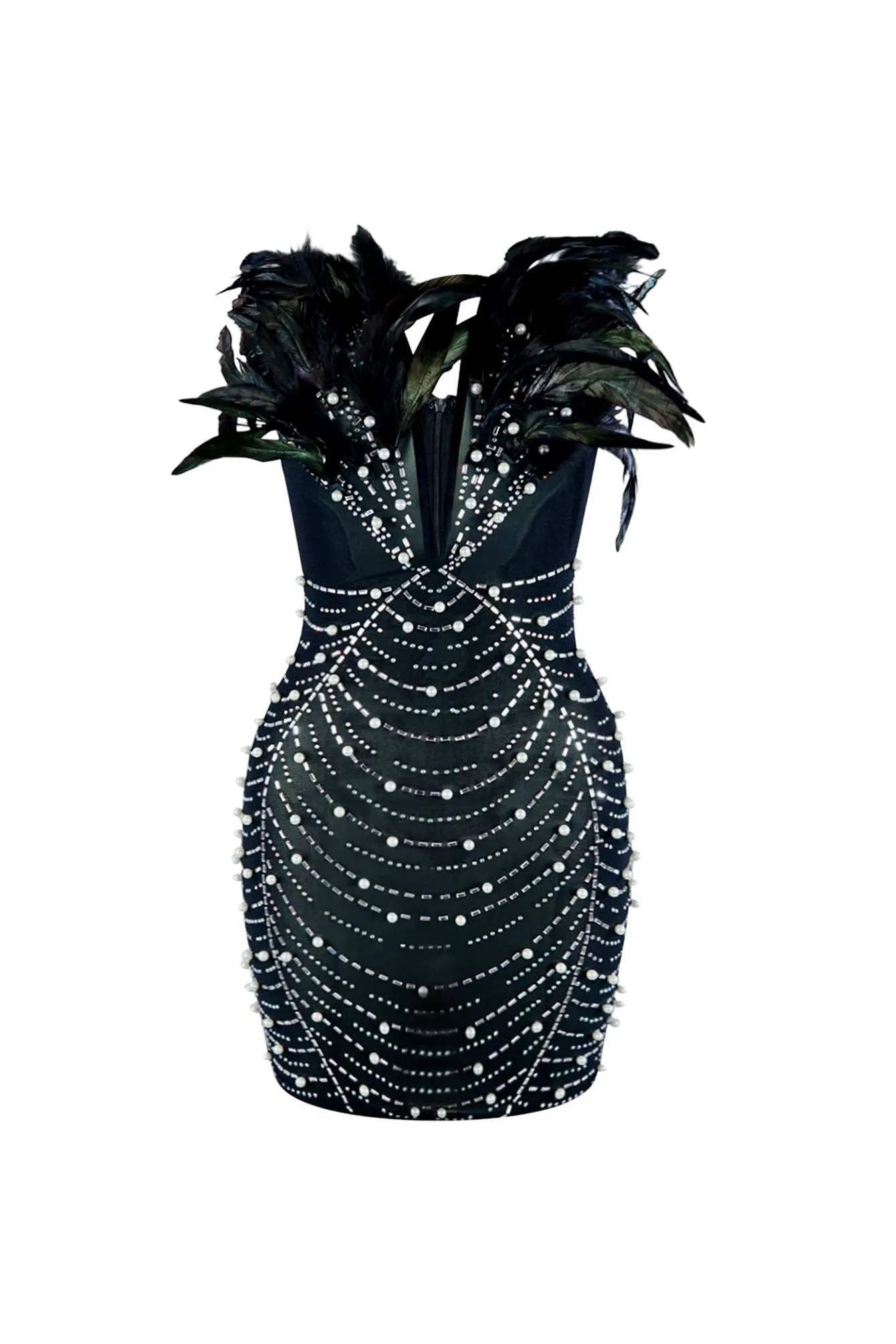 Black Swan Feather And Rhinestone Dress