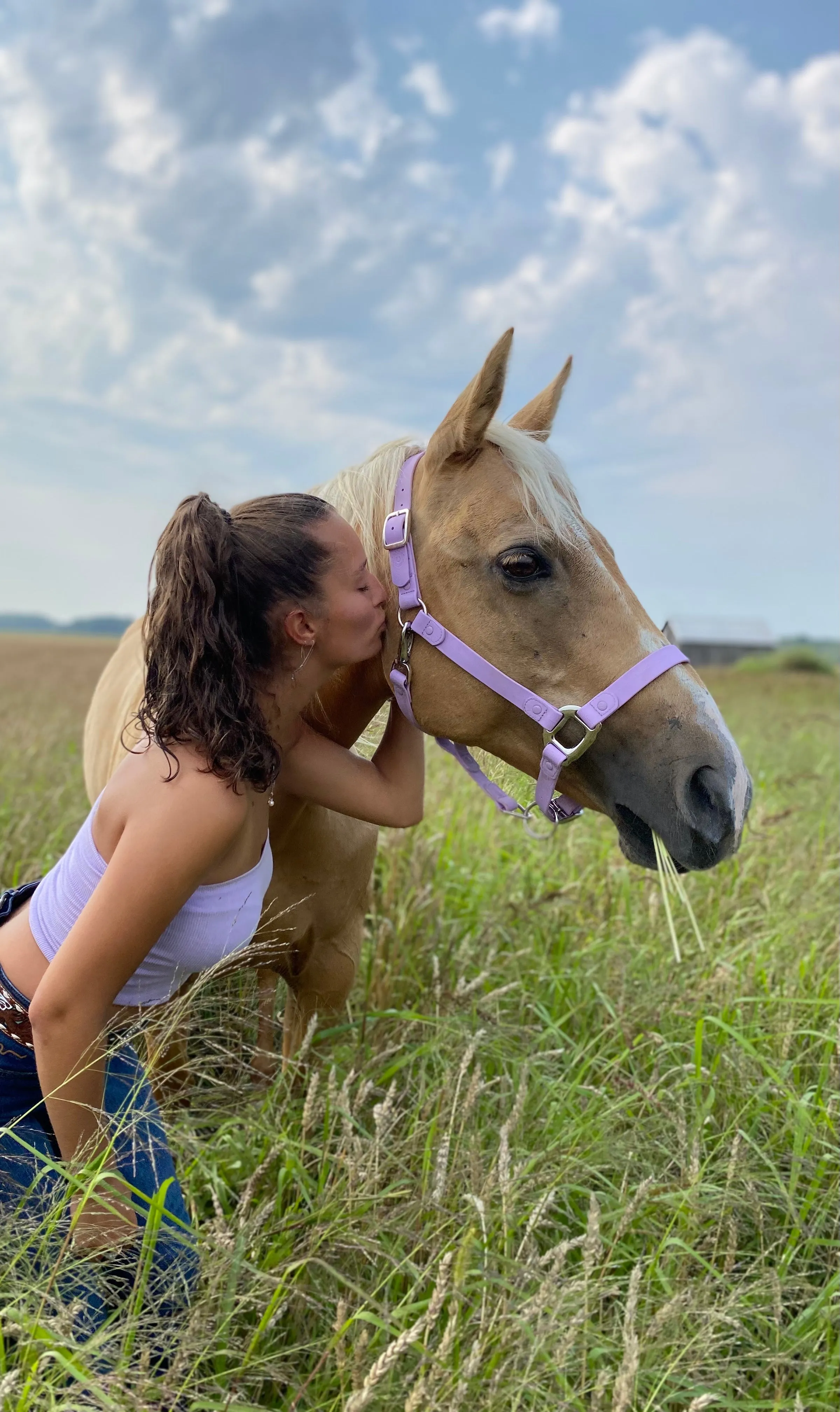 iCavalos Horse Halter Purple