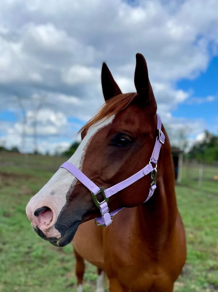 iCavalos Horse Halter Purple