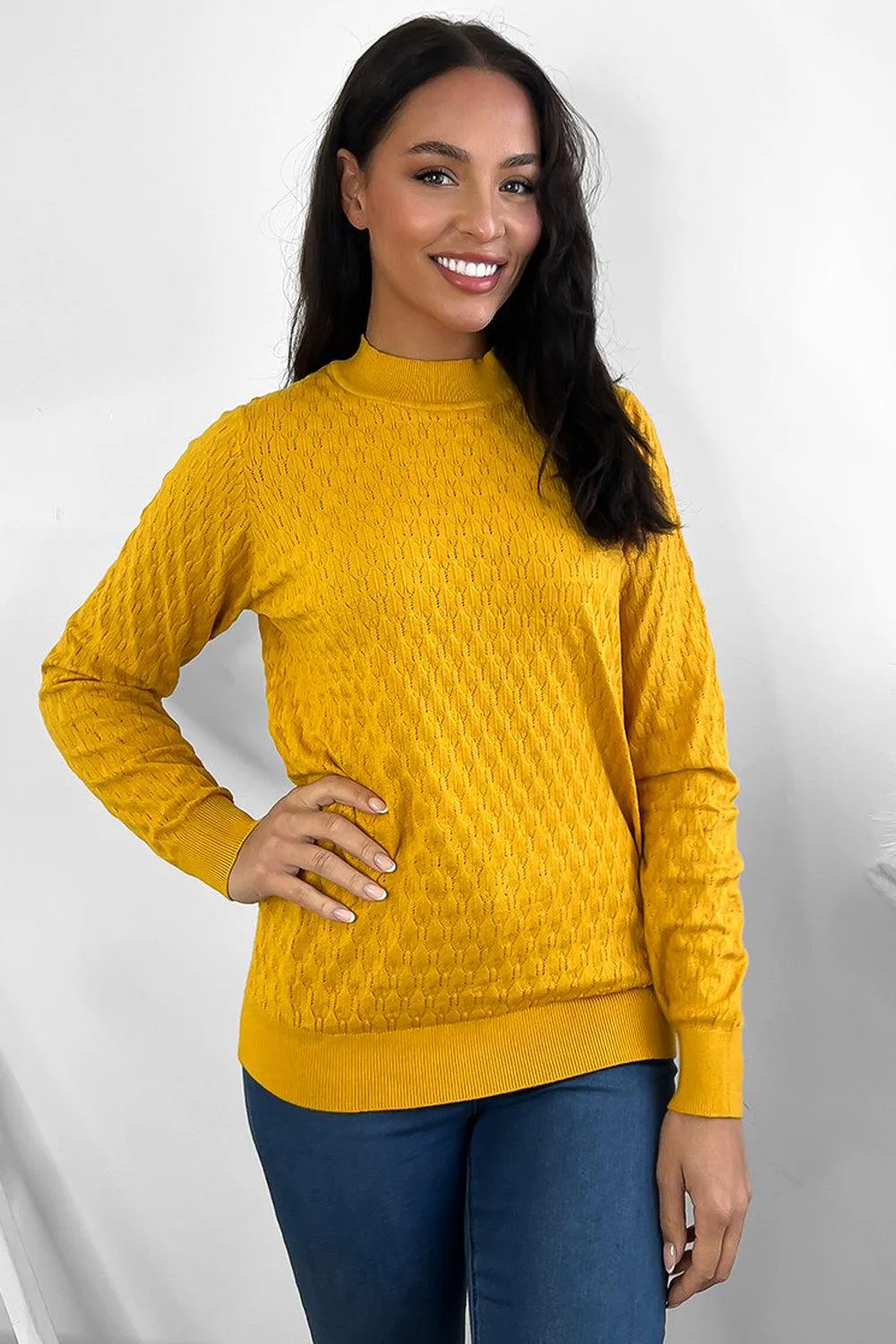 Mock High Neck Patterned Knit Pullover