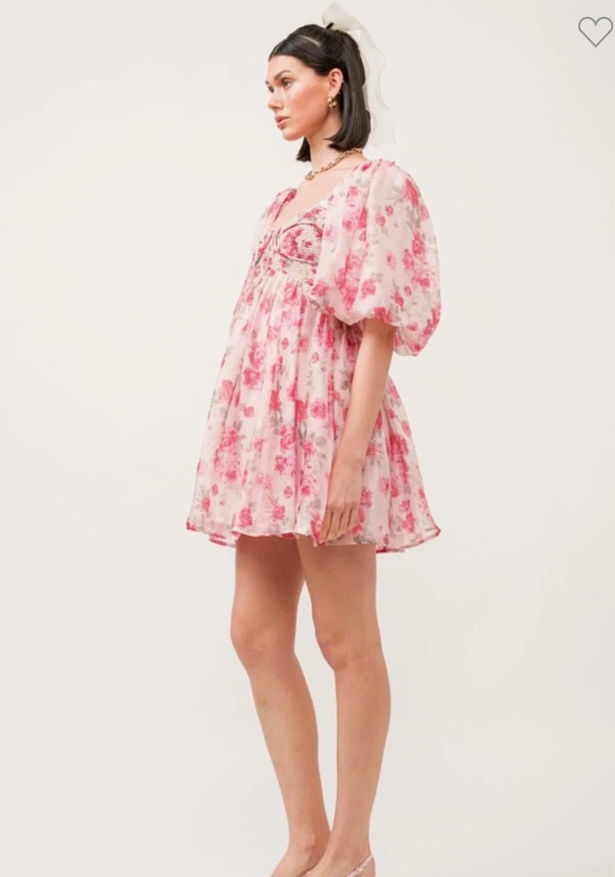 Rose Garden Dress